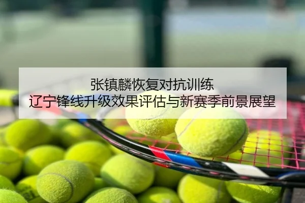 张镇麟恢复对抗训练 辽宁锋线升级效果评估与新赛季前景展望